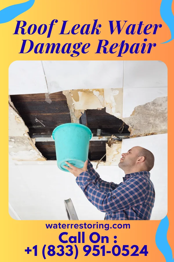Roof Leak Water Damage Repair in Pin Oak Acres, OK